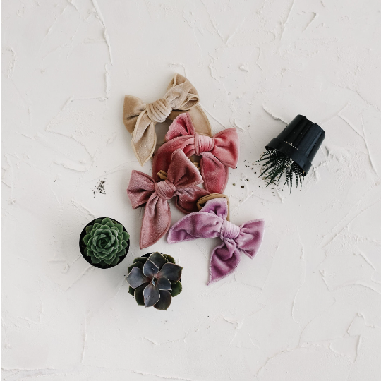 Velvet Edge Berry Bow